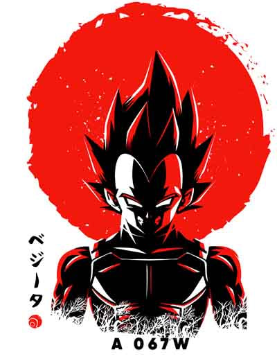 A0067 Dragon ball