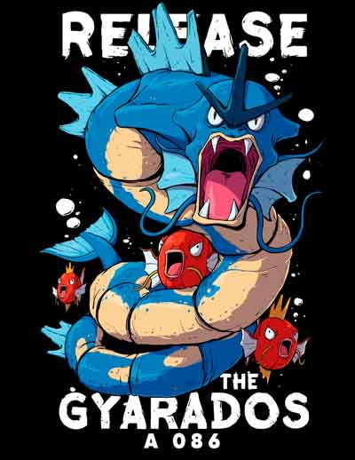 A0086 Pokemon