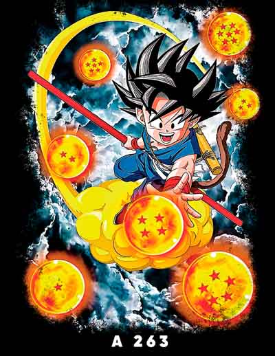 A0263 DRAGON BALL
