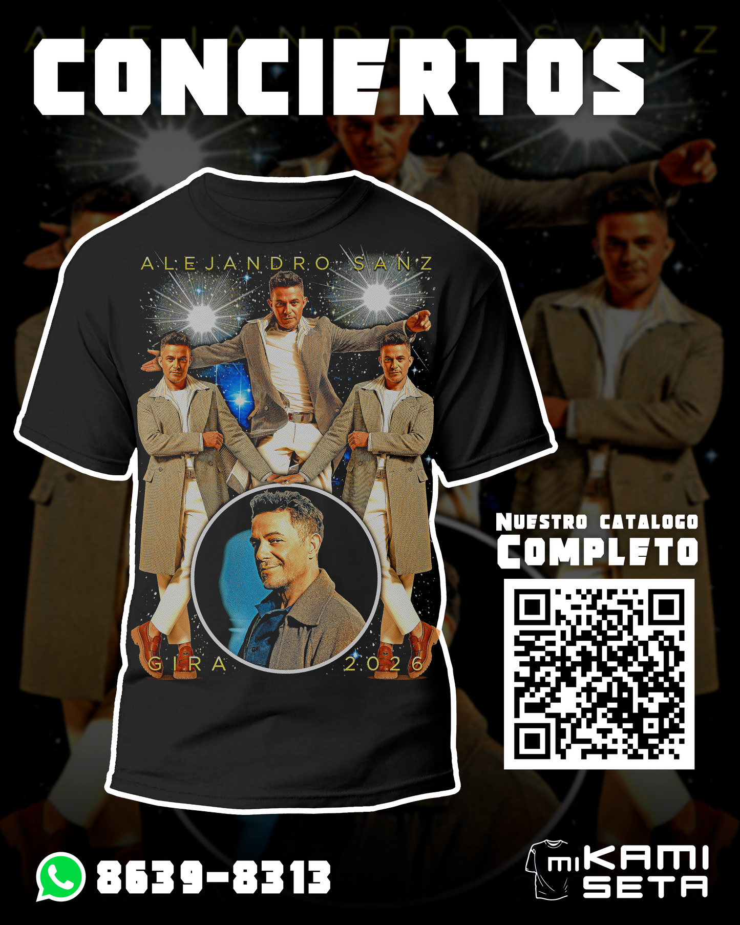 CONCIERTO ALEJANDRO SANZ 2