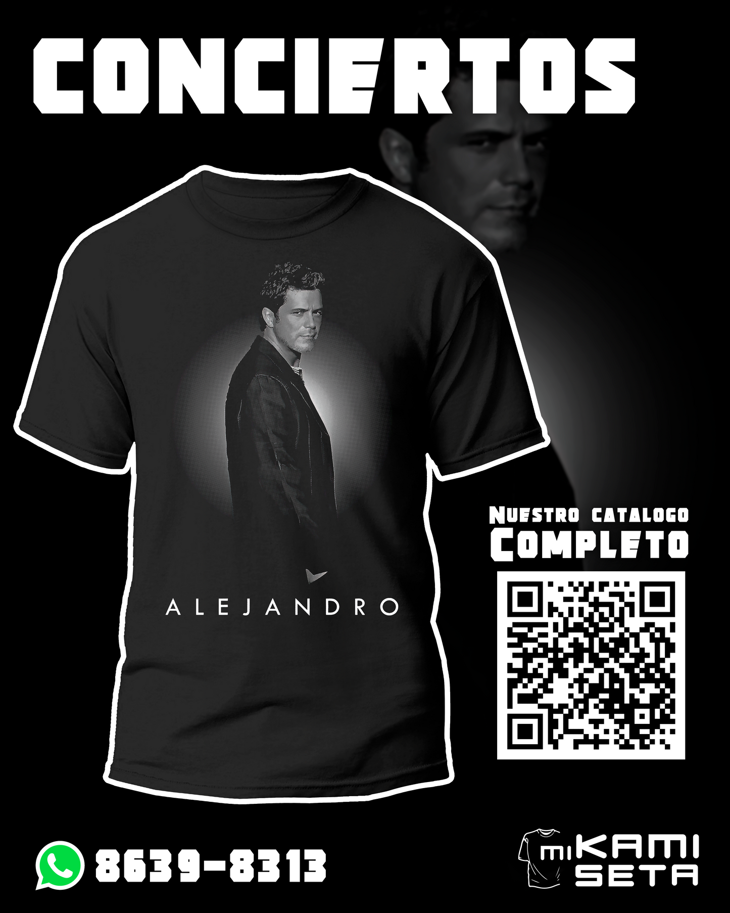 CONCIERTO ALEJANDRO SANZ 3