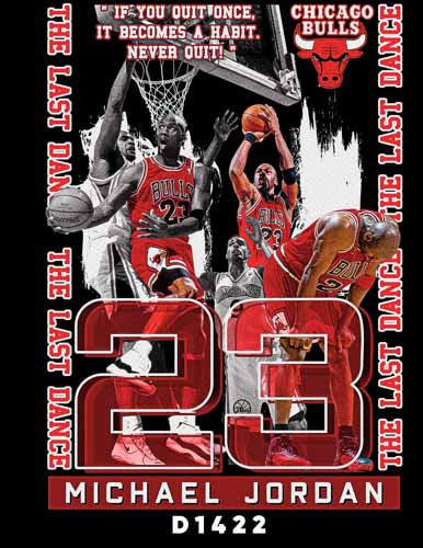 D1422 JORDAN BASQUET