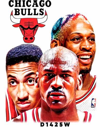 D1425 CHICAGO BULLS