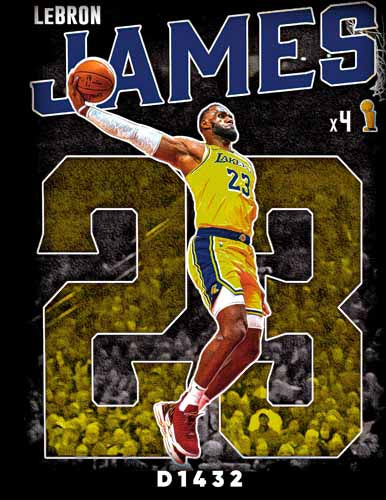 D1432 LEBRON JAMES