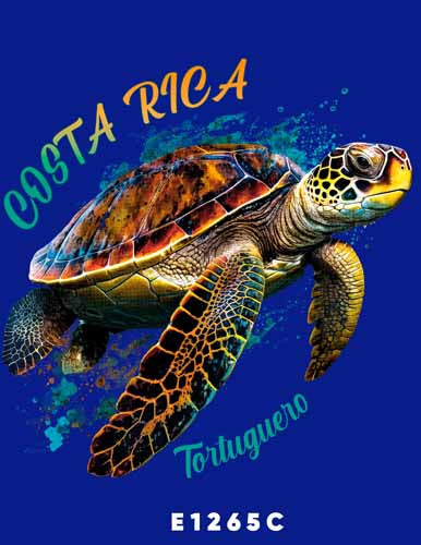 E1254 TORTUGA
