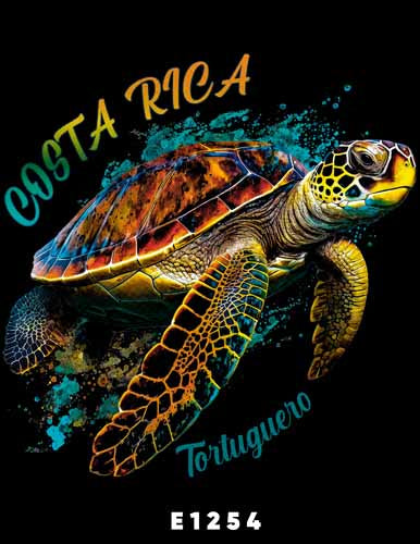E1254 TORTUGA