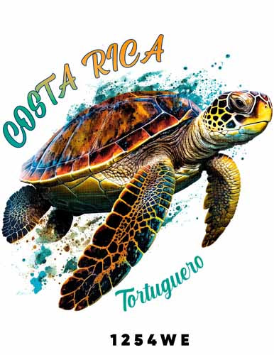 E1254 TORTUGA