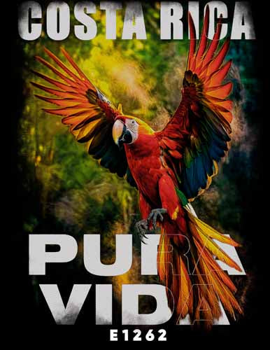 E1262 GUACAMAYA