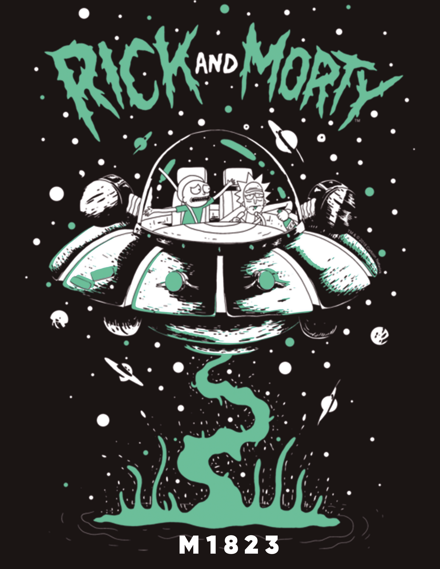 F1823 RICK AND MORTY