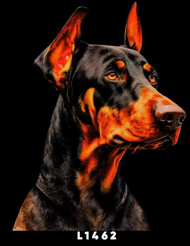L1462 DOBERMANN