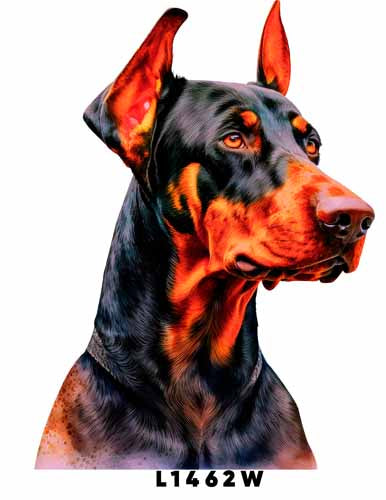 L1462 DOBERMANN