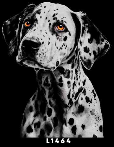 L1464 DALMATA