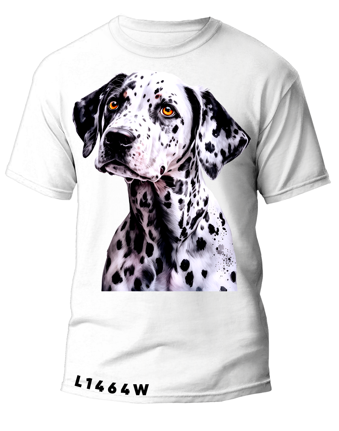 L1464 DALMATA