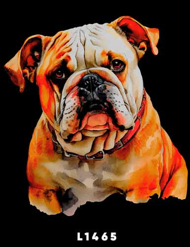 L1465 BULLDOG