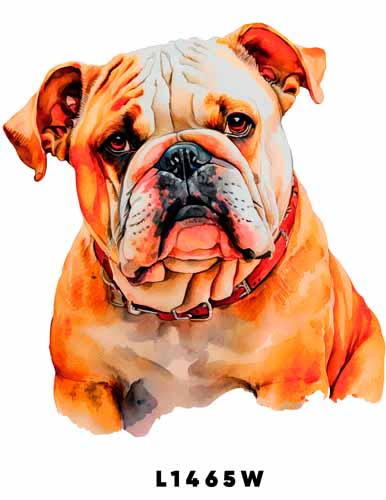 L1465 BULLDOG