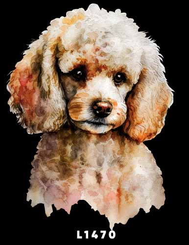 L1470 POODLE