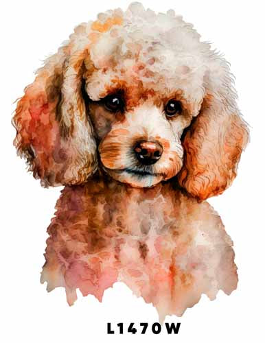 L1470 POODLE