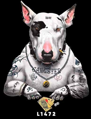 L1472 PITBULL
