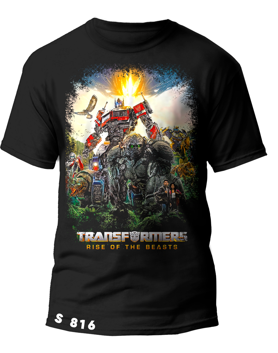 S0816 TRANSFORMERS