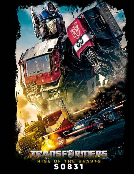S0831 TRANSFORMERS