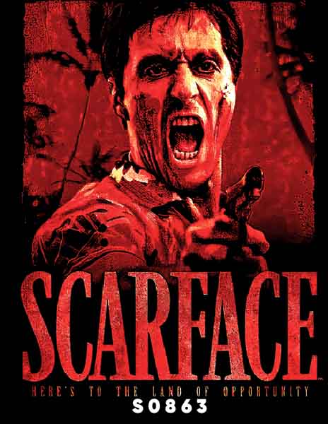 S0863 SCARFECE