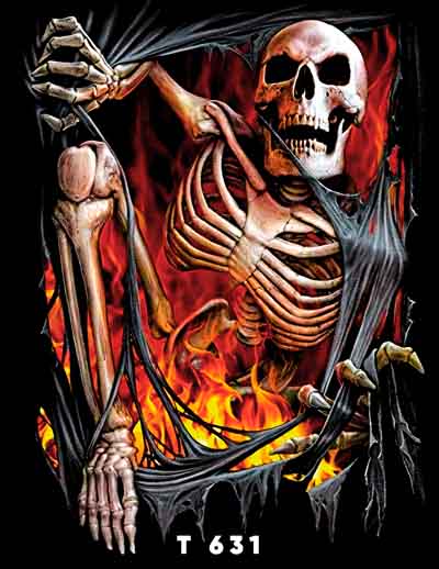T0631 CALAVERA