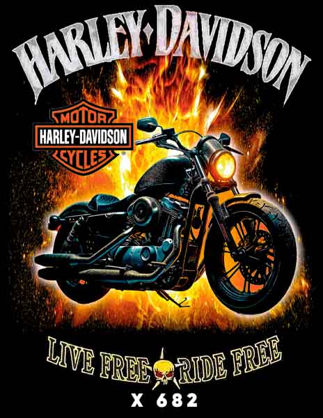 X0682 HARLEY DAVIDSON