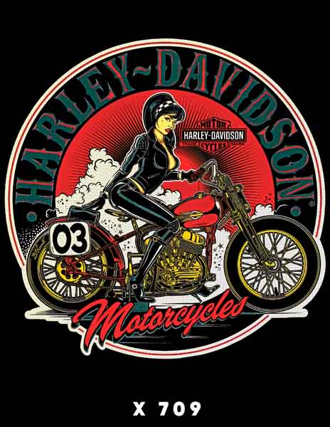 X0709 HARLEY DAVIDSON