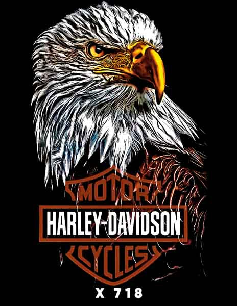 X0718 HARLEY DAVIDSON