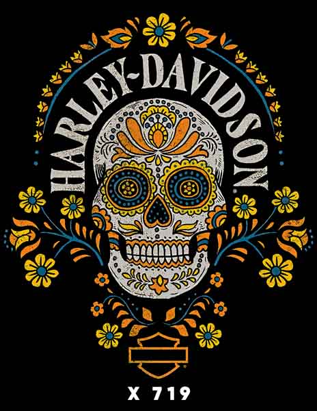 X0719 HARLEY DAVIDSON