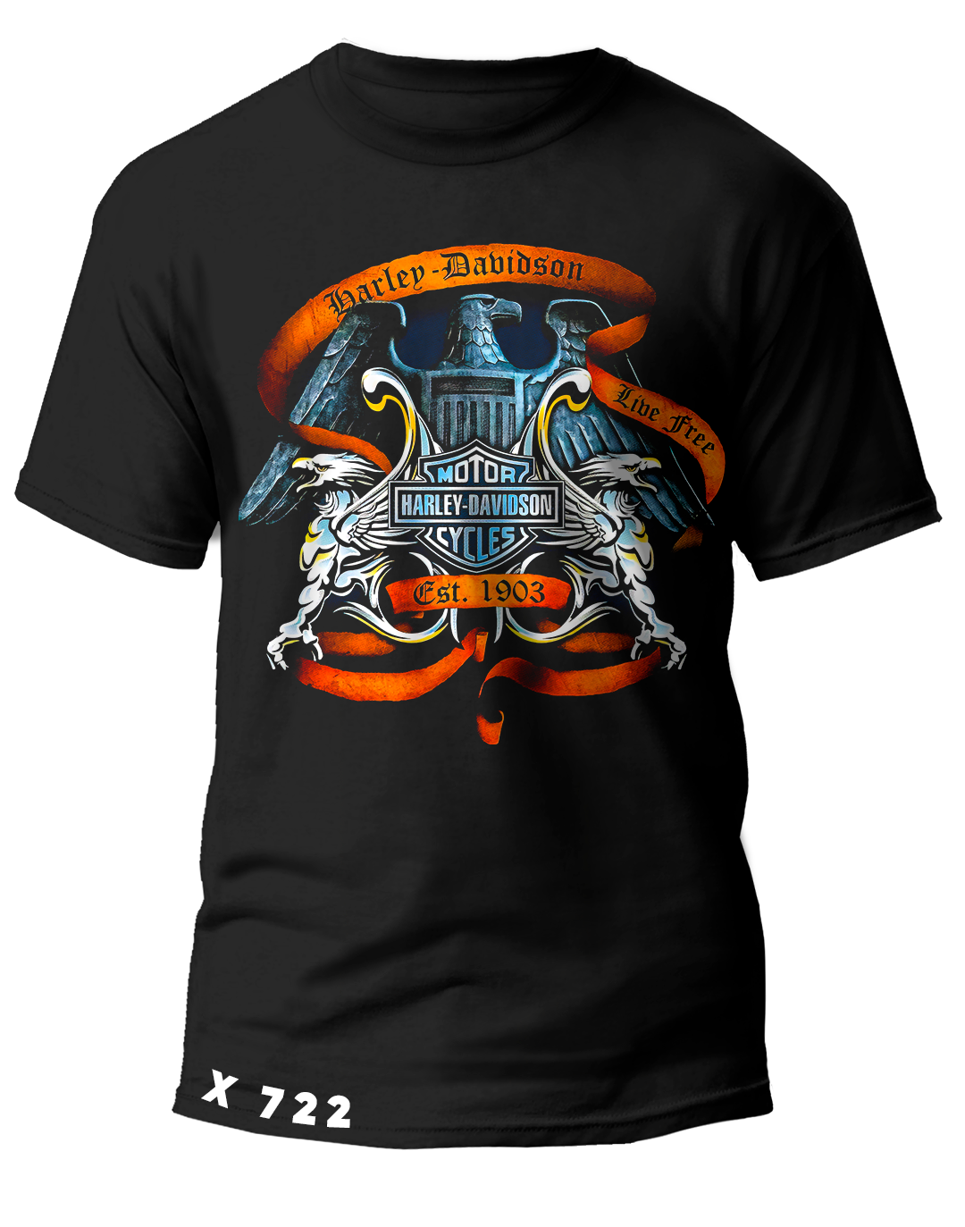 X0722 HARLEY DAVINSON