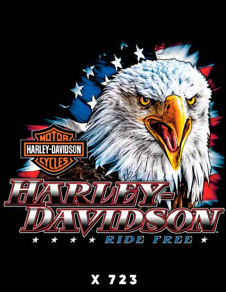 X0723 HARLEY DAVIDSON