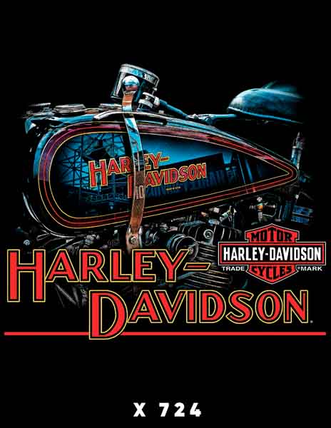 X0724 HARLEY DAVIDSON