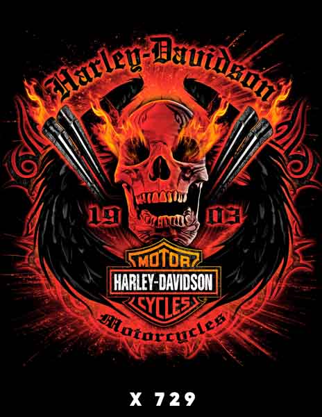 X0729 HARLEY DAVIDSON