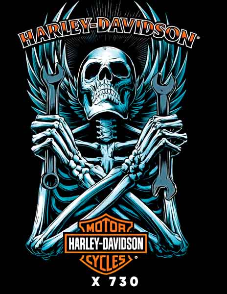 X0730 HARLEY DAVIDSON