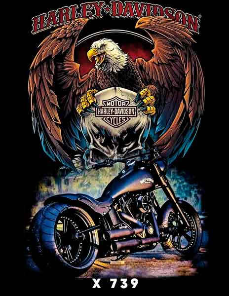 X0739 HARLEY DAVISON
