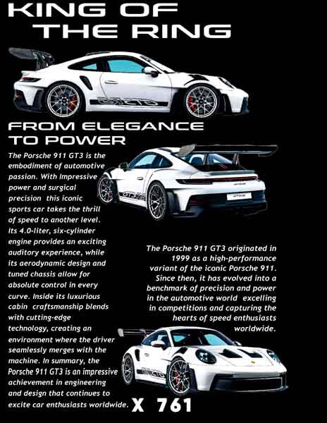 X0761 PORSCHE 911 GT3