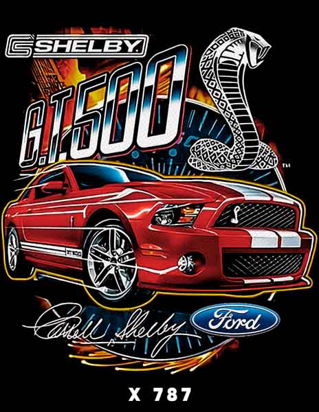 X0787 FORT GT500