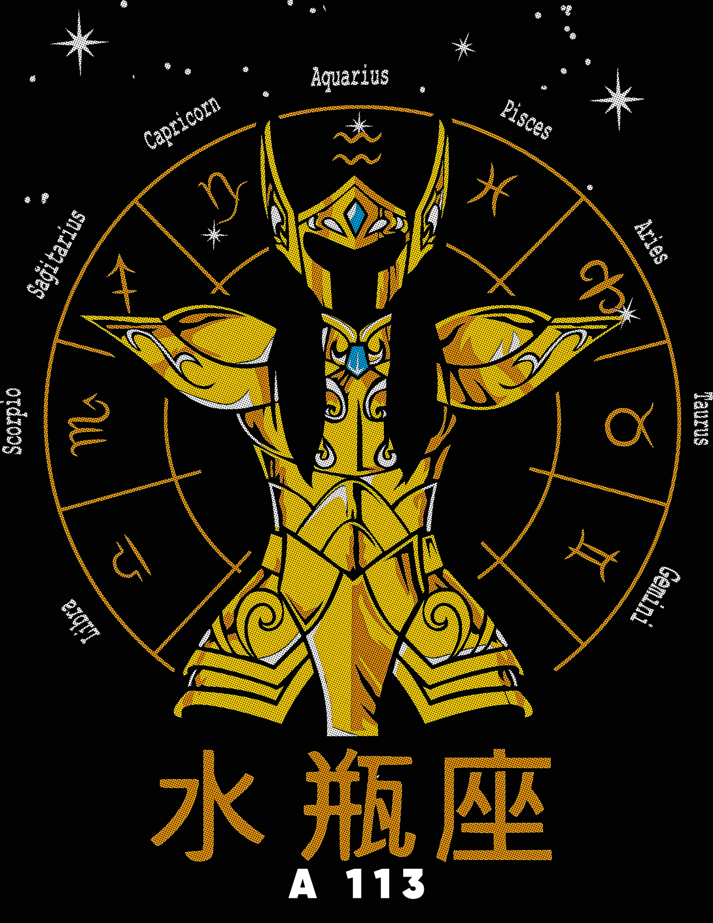 A0113 ACUARIO