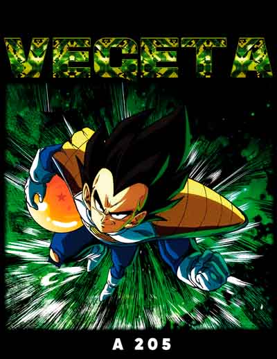 A0205 DRAGON BALL