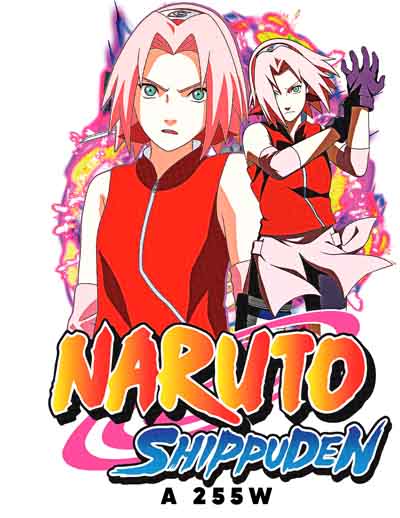 A0255 NARUTO
