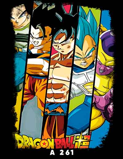 A0261 DRAGON BALL