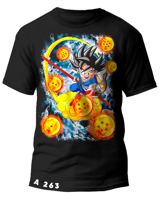 A0263 DRAGON BALL