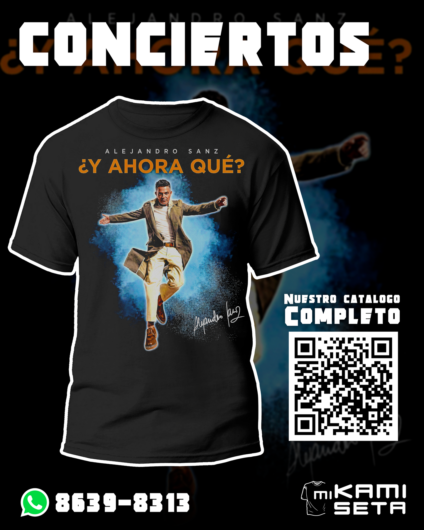 CONCIERTO ALEJANDRO SANZ 1