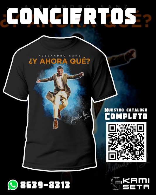 CONCIERTO ALEJANDRO SANZ 1
