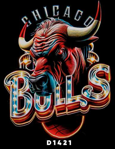 D1421 CHICAGO BULLS