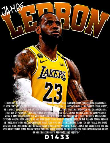 D1433 LEBRON JAMES