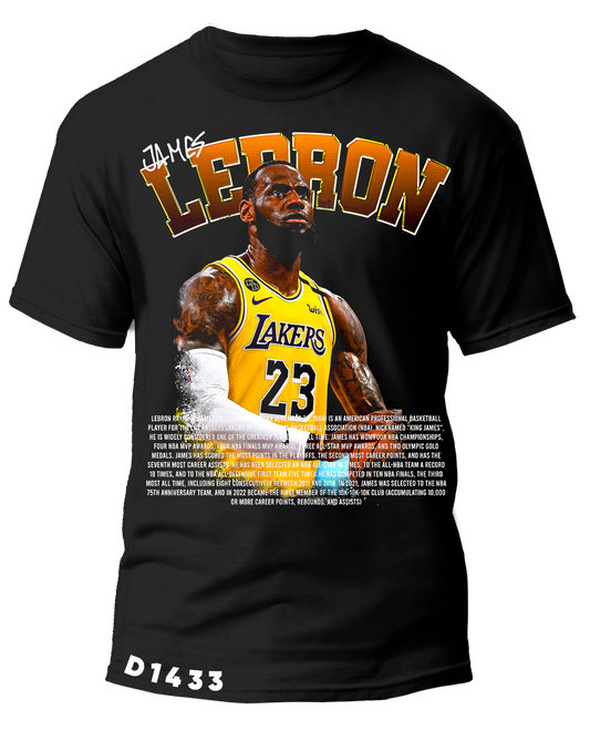 D1433 LEBRON JAMES