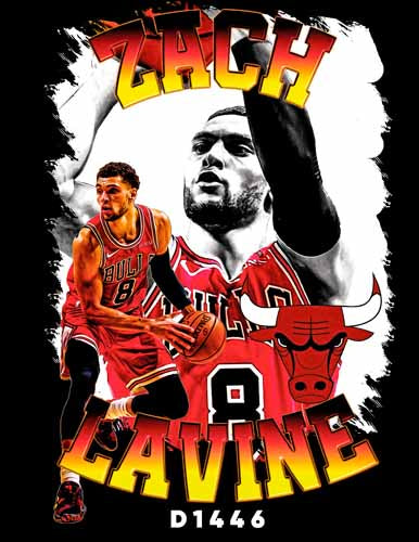D1446 ZACH LAVINE