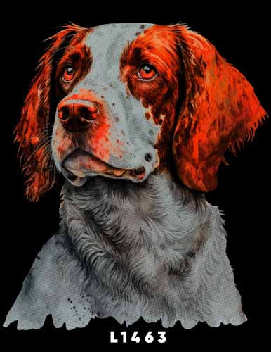L1463 SPANIEL BRITTANY